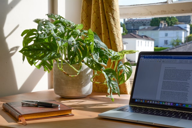 A desk next to an open window on a sunny day, on the desk are a green plant, a laptop with writing on screen and a book with a pen on top.